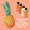 imageHempz First Class Travel Essentials  Floral Banana Herbal Shampoo Conditioner Moisturizer ampamp Body Wash for Traveling Bath or Shower Hair ampamp Skin Care for Women or Men 4Pack 25 Oz BottlesPineapple  Melon