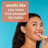 imageSweet Pineapple ampamp Honey Melon Herbal Lip Sunscreen 15 oz SPF 30015 Fl Oz Pack of 1