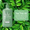 imageHEMPZ Tea Tree Herbal Body Moisturizer 17 oz
