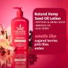 imageHempz Brazilian Berry Beauty Actives Lotion Hydrating Moisturizer for Body Hands and Feet 17 oz
