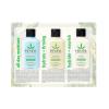 imageHempz Healthy Hydration Triple Moisture Age Defying ampamp Original 225 Oz 3Pack Body Moisturizing Lotion Gift Set  Mini Scented Travel Cream Skin Care for Women ampamp Men Made with Shea ButterHealthy Hydration