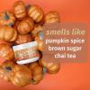 imageHempz Limited Edition Pumpkin Spice ampamp Vanilla Chai Herbal Lip Balm 44 ozPumpkin Spice  Vanilla Chai