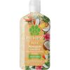 imageHempz New Pet Shampoo Deodorizing wash for Smelly Dogs or Cats Tropical Coconut Scent Dog ampamp Cat Shampoo 17 oz