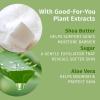 imageHempz Age Defying Body Moisturizer 17 Fl Oz 2 Pack Bundle  Daily Herbal Moisturizer Shea Butter AntiAging  Body Lotion Hemp Extract Lotion  Skin Care Products 100 Pure Organic Hemp Seed Oil
