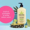 imageHempz Body Lotion  Sweet Pineapple ampamp Honey Melon Daily Moisturizing Cream Shea Butter Aloe Orange Extract Body Moisturizer  Skin Care Products Hemp Seed Oil  17 fl oz 2Pack Bundle