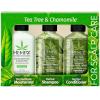 imageHEMPZ Shampoo Conditioner and Body Lotion Trio Set  Tea Tree ampamp Chamomile  Hair ampamp Skin Care Product Pack Hemp Seed Oil  225 fl oz 3Pack BundleTea Tree  Chamomile