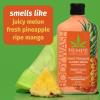 imageHempz Mini Body Wash 3Pack Sweet Pineapple ampamp Honey Melon travel essentials small body wash 225 oz