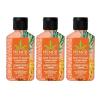imageHempz Mini Body Wash 3Pack Sweet Pineapple ampamp Honey Melon travel essentials small body wash 225 oz