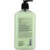 imageHempz Body Moisturizer Green Tea and Asian Pear 17 Ounce Pump 500ml Pack of 2