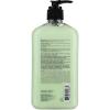 imageHempz Body Moisturizer Green Tea and Asian Pear 17 Ounce Pump 500ml Pack of 3