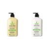 imageHempz Body Lotion  Sweet Pineapple and Honey Melon  Daily Moisturizing Cream  17oz ampamp Original Natural Hemp Seed Oil Body Moisturizer with Shea Butter and Ginseng