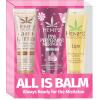 imageHempz All is Balm Kit 3 Pack Lip Balm Nourishing Lip Care Limited Edition Gloss 44 oz