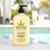 imageHempz Sweet Pineapple ampamp Honey Melon Moisturizing Skin Lotion Body Moisturizer with Jojoba Natural Extracts Vitamin A and E 17 oz 2 Pack Bundle