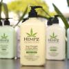 imageHempz Sweet Pineapple ampamp Honey Melon Moisturizing Skin Lotion Body Moisturizer with Jojoba Natural Extracts Vitamin A and E 17 oz 2 Pack Bundle
