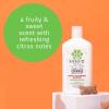 imageHempz Petz Sensitive Dog Shampoo Oatmeal Complex to Soothe Creamy Citrus Orange ampamp Red Raspberry Herbal Sensitive Shampoo 17 ozCitrus and Raspberry Deodorizing
