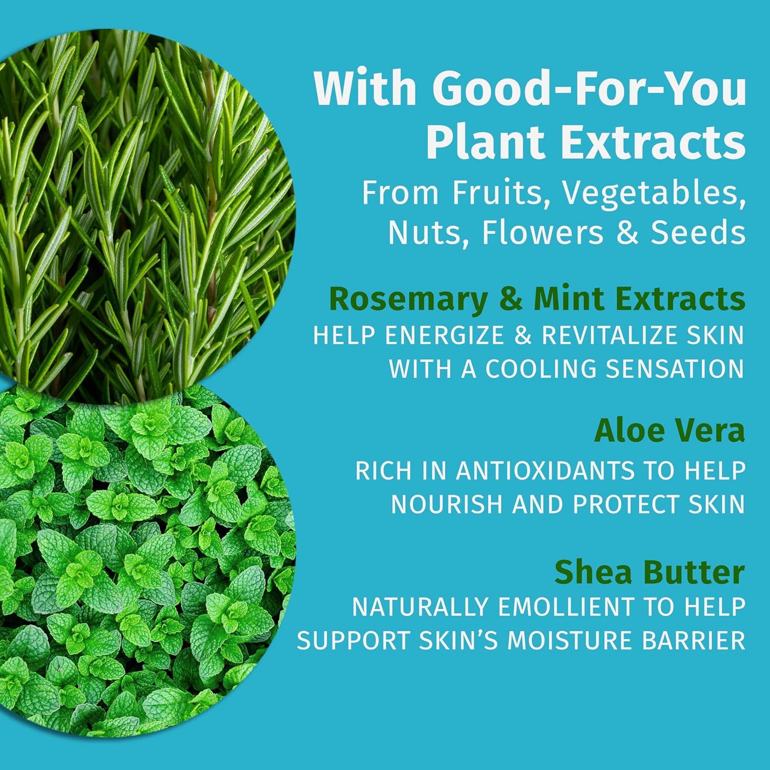 imageHempz Mini Whipped Vanilla ampamp Coconut Cream Body ampamp Hand Lotion 225 ozSpearmint  Rosemary