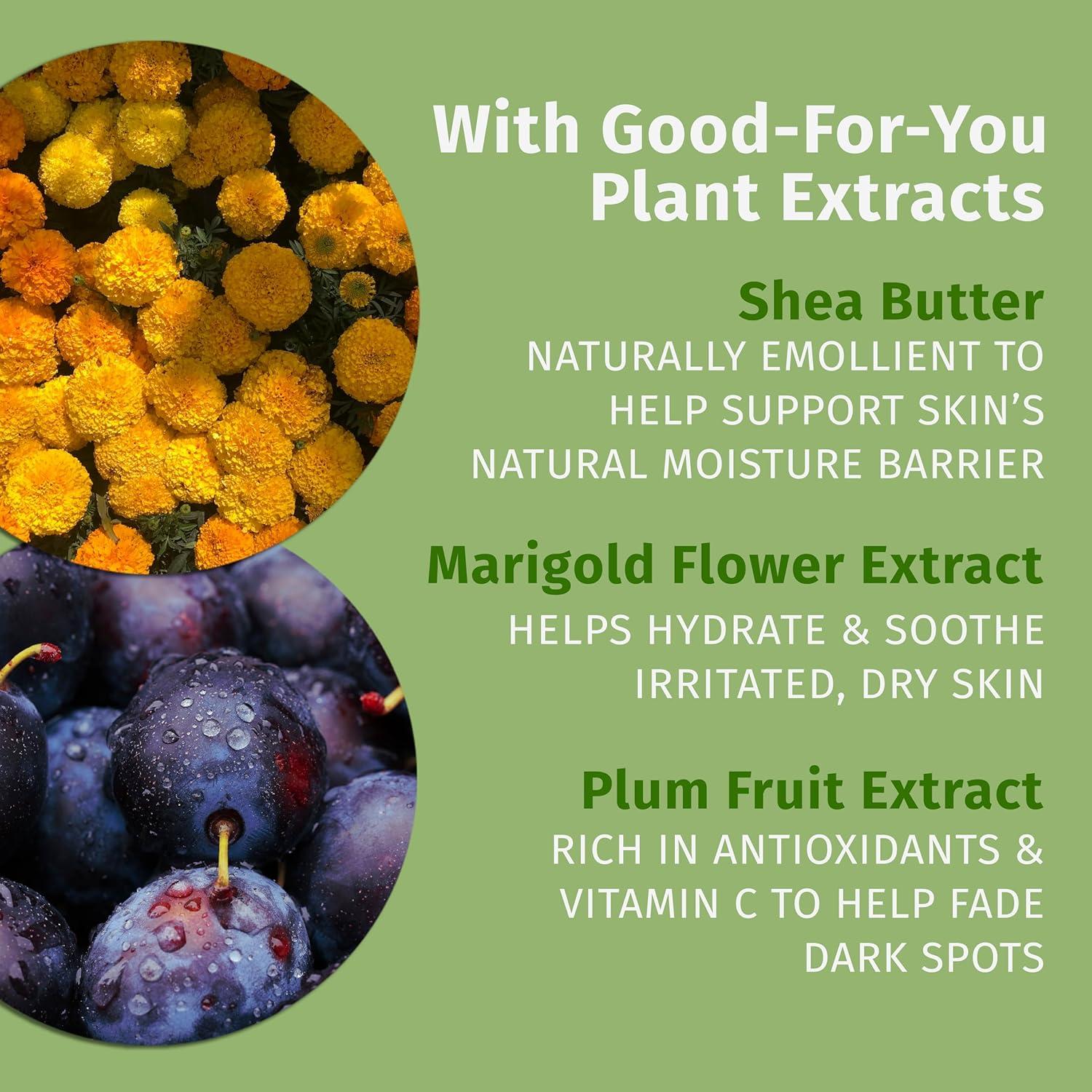 imageHempz Mini Whipped Vanilla ampamp Coconut Cream Body ampamp Hand Lotion 225 ozVanilla Bean and Coconut