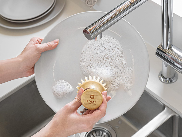 Dish Scrub Brush