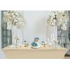 imageUtopia Kitchen Spandex Tablecloth 2 Pack 8FT White Tight Fitted Washable and Wrinkle Resistant Stretch Rectangular Patio Table Cover for Event Wedding Banquet ampamp Parties 96Lx30Wx30H InchChampagne