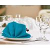 imageUtopia Kitchen White Cloth Napkins 12 Pack 18x18 Inch Cotton Blend Washable and Reusable Table Dinner NapkinsCaribbean Blue