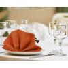 imageUtopia Kitchen White Cloth Napkins 12 Pack 18x18 Inch Cotton Blend Washable and Reusable Table Dinner NapkinsOrange