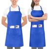 imageUtopia Kitchen 2 Pack Bib Apron Adjustable with 2 Pockets Water and Oil Resistant Cooking Kitchen Chef Apron for Women MenBlue