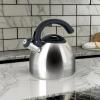 imageGibson Steamline Tea Kettle Stainless Steel 2 Quarts