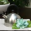 imageMr Coffee Claredale Stainless Steel Whistling Tea Kettle 22QuartMetallic RedMirror Polish