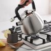 imageMr Coffee Twining 21 Quart Pumpkin Shaped Stainless Steel Whistling Tea Kettle Metallic RedBrushed Satin Armidale