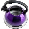 imageMr Coffee Twining 21 Quart Pumpkin Shaped Stainless Steel Whistling Tea Kettle Metallic RedMetallic Purple