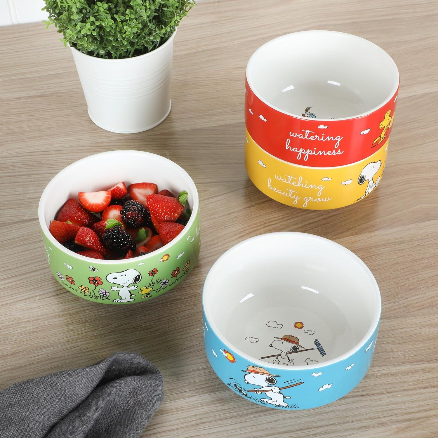 imagePeanuts Freckled Joy 23oz Stoneware Soup Bowls wClear Lid 4Pack Assorted ColorsAssorted Colors