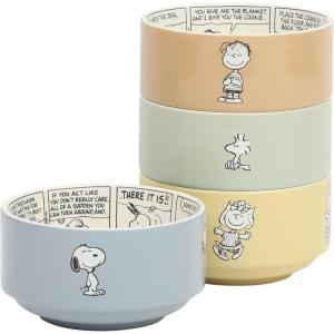 imagePeanuts Freckled Joy 23oz Stoneware Soup Bowls wClear Lid 4Pack Assorted Colors55 Bonbon Bites Snack Bowl