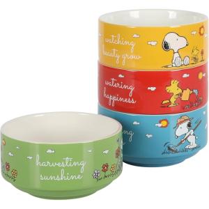 imagePeanuts Freckled Joy 23oz Stoneware Soup Bowls wClear Lid 4Pack Assorted ColorsAssorted Colors