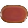 imageOprahs Favorite Things  Santorini Mist Double Bowl Terracotta Reactive Glaze Plates and Bowls Dinnerware Set  Amber Service for Four 16pcsPaprika Red