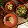 imageOprahs Favorite Things  Santorini Mist Double Bowl Terracotta Reactive Glaze Plates and Bowls Dinnerware Set  Amber Service for Four 16pcsPaprika Red