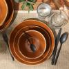 imageOprahs Favorite Things  Santorini Mist Double Bowl Terracotta Reactive Glaze Plates and Bowls Dinnerware Set  Amber Service for Four 16pcsTerracotta Canyon
