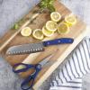 imageOster Evansville 14 Piece Stainless Steel Cutlery Block Set Red HandlesYale Blue
