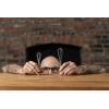 imageBabish 2Piece 5 and 7 Stainless Steel Tiny Whisk Set2Piece 5 and 7