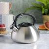 imageMr Coffee Harpwell Stainless Steel Whistling Tea Kettle 18Quart Brushed Stainless Steel