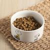 imagePeanuts Snoopy Dog Bowl with Bone Design  65quot Stoneware Water or Food Bowl for Small to Medium Dogs  Cute Cartoon Pet Dish Durable ampamp Easy to CleanSnoopy  Charlie Brown
