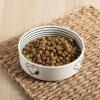 imagePeanuts Snoopy Dog Bowl with Bone Design  65quot Stoneware Water or Food Bowl for Small to Medium Dogs  Cute Cartoon Pet Dish Durable ampamp Easy to CleanSnoopy