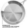 imageBabish 10 Inch Stainless Steel Triply Professional Grade Fry PanFry Pan 10inch