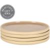 image:imageGibson Elite  Made in Portugal  Port Gaia 102 Inch Dinner Plates Set of 4  Reactive Glaze Dish Set  BlueTaupe Dinner Plates