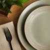 image:imageGibson Home Chiswick House 16Piece Stoneware Dinnerware Set Round Plates and Bowls Set for 4 Green with Wax Relief Embossed Rim Detail Dishwasher Safe  Dinner Plate Salad Plate amp Cereal BowlGreen w Wax Relief Embossed Rim Chiswick House