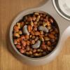 image:imageGibson Home Wags N Whiskers 3 Piece Elevated Pet Bowl Set 12oz Stainless Steel Dog amp Cat Bowl with PP Stand NonSlip Raised Feeder Food amp Water Station Dishwasher Safe BlueTaupe Curious Canines Double Bowl