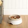 image:imageGibson Home Wags N Whiskers 3 Piece Elevated Pet Bowl Set 12oz Stainless Steel Dog amp Cat Bowl with PP Stand NonSlip Raised Feeder Food amp Water Station Dishwasher Safe BlueTaupe Curious Canines Bowl