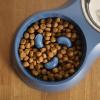 image:imageGibson Home Wags N Whiskers 3 Piece Elevated Pet Bowl Set 12oz Stainless Steel Dog amp Cat Bowl with PP Stand NonSlip Raised Feeder Food amp Water Station Dishwasher Safe BlueBlue Curious Canines Double Bowl
