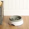 image:imageGibson Home Wags N Whiskers 3 Piece Elevated Pet Bowl Set 12oz Stainless Steel Dog amp Cat Bowl with PP Stand NonSlip Raised Feeder Food amp Water Station Dishwasher Safe BlueGreen Curious Canines Bowl
