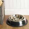 image:imageGibson Home Wags N Whiskers 3 Piece Elevated Pet Bowl Set 12oz Stainless Steel Dog amp Cat Bowl with PP Stand NonSlip Raised Feeder Food amp Water Station Dishwasher Safe BlueTaupe Curious Canines Slow Feeder Insert