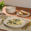 image:imageGibson Elite AvantGarde 12 Piece Stoneware Dinnerware Set for 4 Chateau Grey Plates and Bowls Set with Reactive Glaze Includes Dinner Plates Salad Plates and BowlsCream White Solana